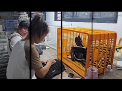 Fabbrica di servizi per scarpe su misura